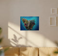 Soft pastel Tasmania Poster
