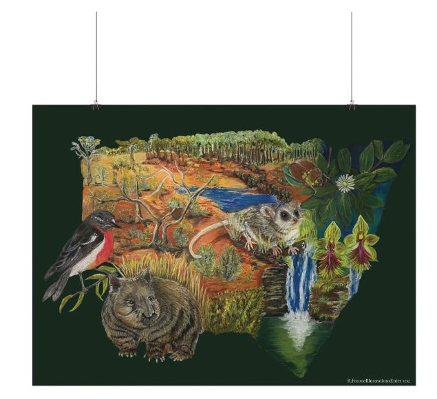 Soft pastels Australia New South Wales Flora and Fauna Matte Poster — Australian Outback Animals Art Print