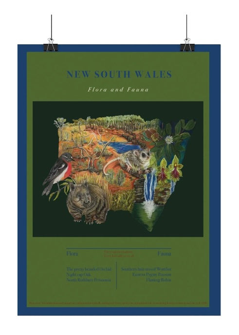 Textured Watercolour Australia New South Wales 2 Poster — Matte Australia State of N.S.W. Flora and fauna Art Print